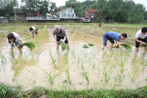 雷竞技raybet官网版下载积极推动大中小学“五育并举”一体化