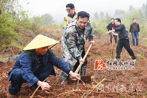 雷竞技raybet官网版下载党委书记陈弘与潮水铺村村支书一同种下金槐树苗