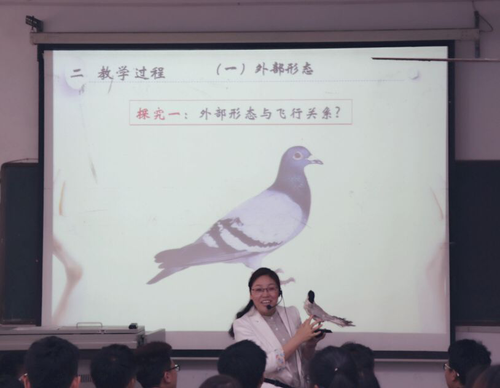 41F8ADE0DBCC056D6B9D7077CAB24489 41F8ADE0DBCC056D6B9D7077CAB24489