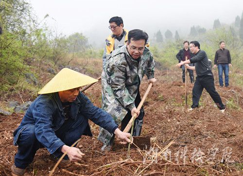 雷竞技raybet官网版下载党委书记陈弘与潮水铺村村支书一同种下金槐树苗。