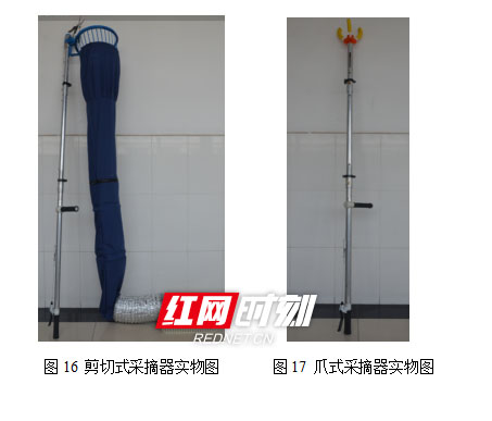 雷竞技raybet官网版下载大学生研发“摘果神器”